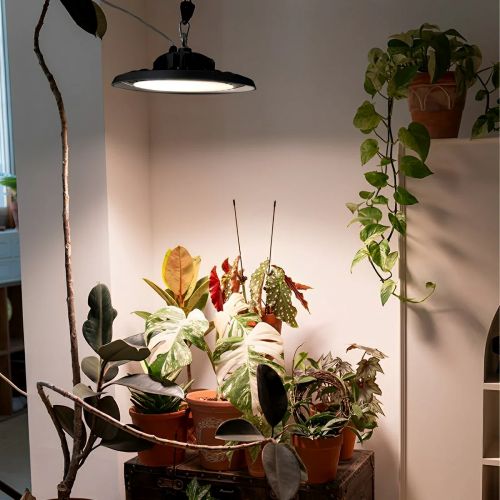 How Poor Indoor Lighting Affects Your Eyes, Mood and Health - Flyachilles