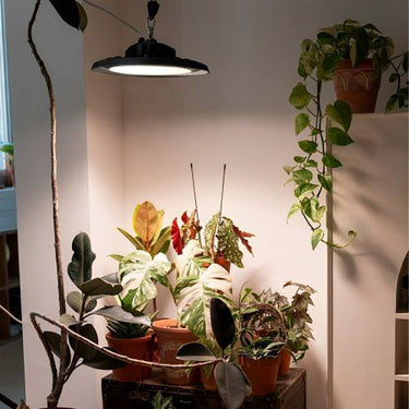 How Poor Indoor Lighting Affects Your Eyes, Mood and Health – Flyachilles