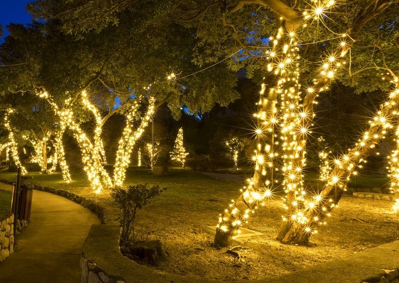 How To Light Plants And Trees Without Ruining The Mood - Flyachilles