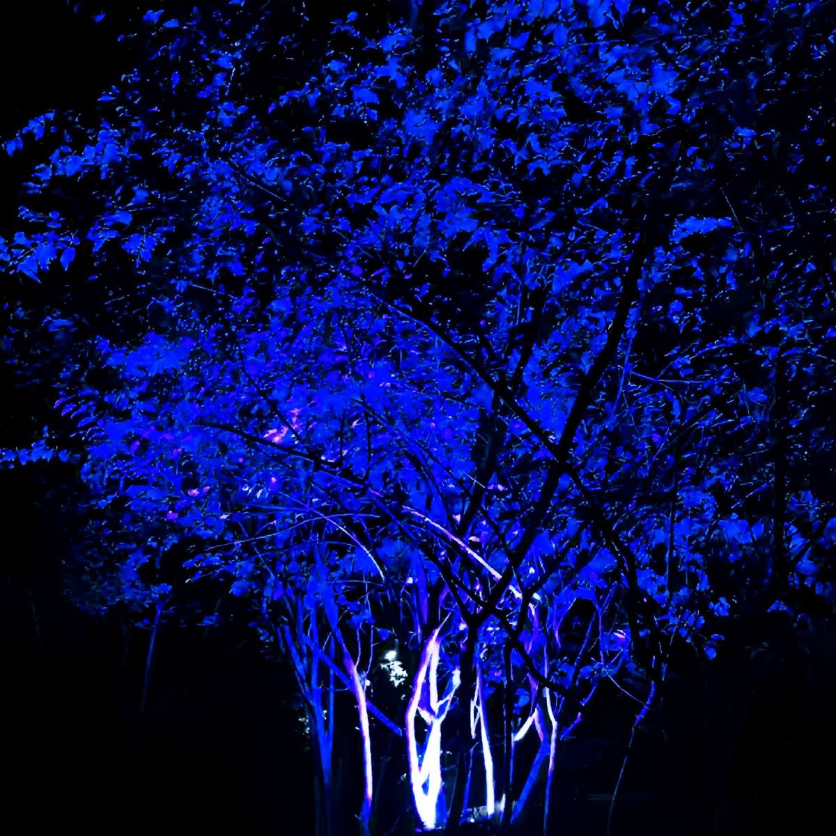 Tree Light Sensor RGB Super Bright Waterproof Outdoor Landscape Tree Lighting Spot Light ...