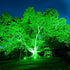 24V Waterproof Outdoor Landscape Tree Lighting - Flyachilles