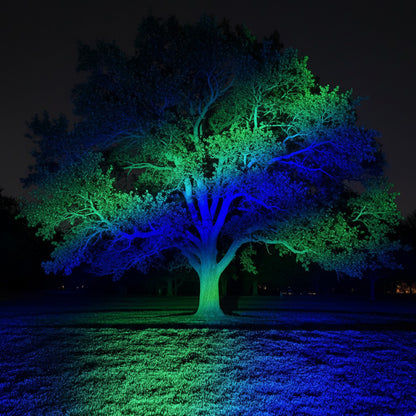 Tunable Outdoor Waterproof RGB LED Spot Light Landscape Tree Lighting With Remote Control