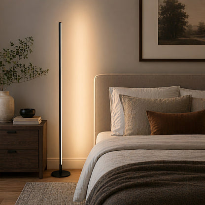 Modern Minimalist Ultra-thin LED Floor Lamp for Living Room Bedroom
