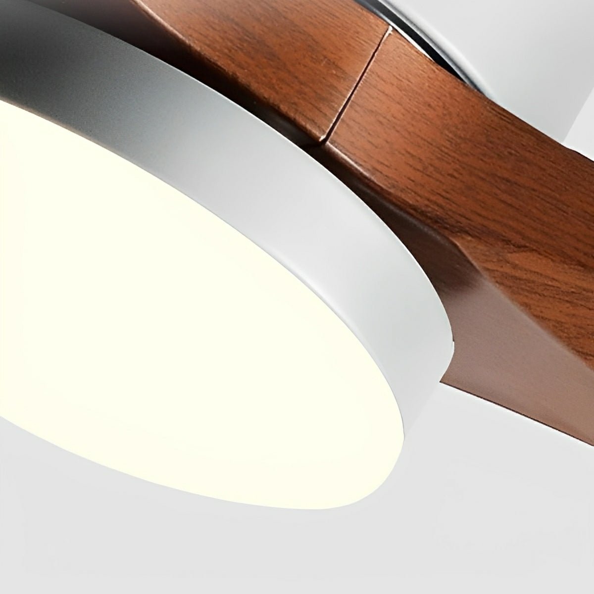 Modern Dimmable Ceiling Fan with Light - Flyachilles