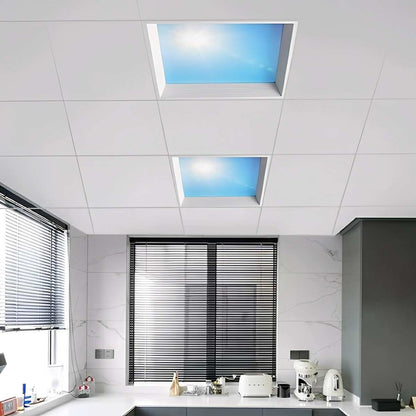 Modern Imitation Sky LED Light Dimmable Ceiling Light - Flyachilles
