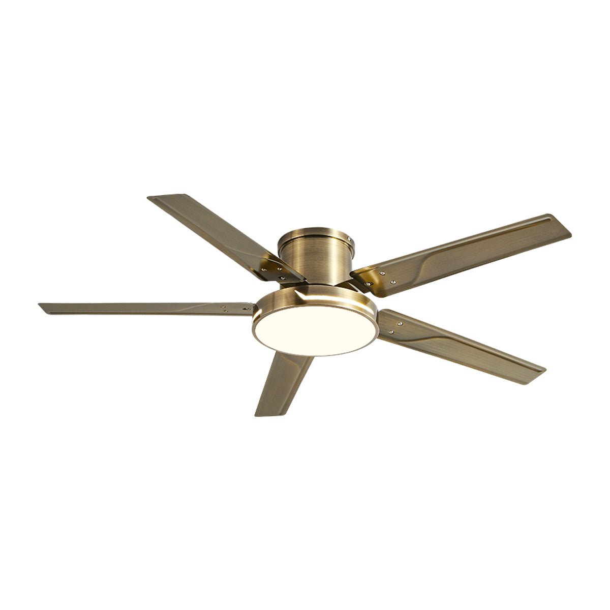 Modern Iron Five - leaf 6 - speed Inverter Fan Dimming Ceiling Fan Light - Flyachilles