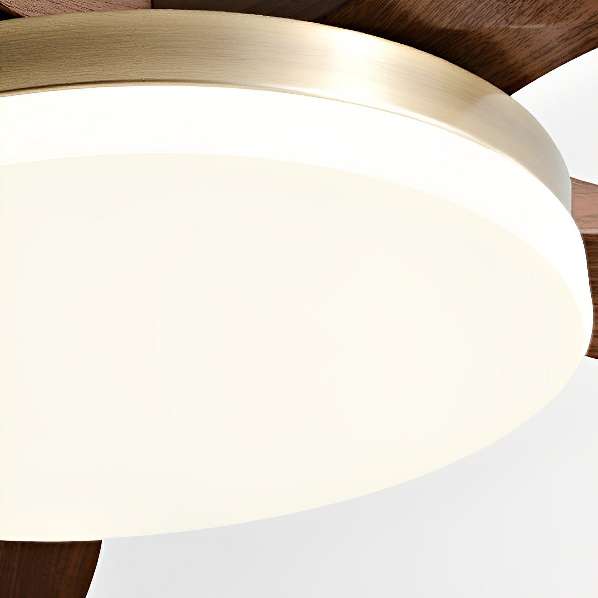 Modern Minimalist 5 - Blades DC Motor Reverse Full - Spectrum LED Ceiling Fan Light - Flyachilles