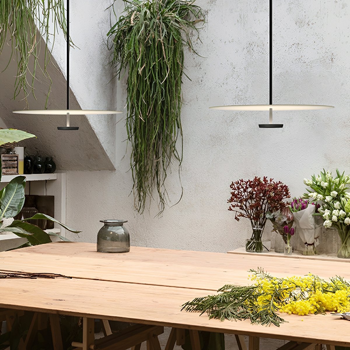 Modern Minimalist Black Slim Dish LED Pendant Lights - Flyachilles