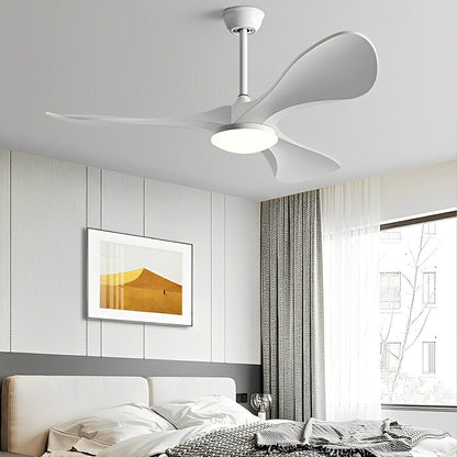 Modern Minimalist DC Motor Reverse Ceiling Fan Light - Flyachilles
