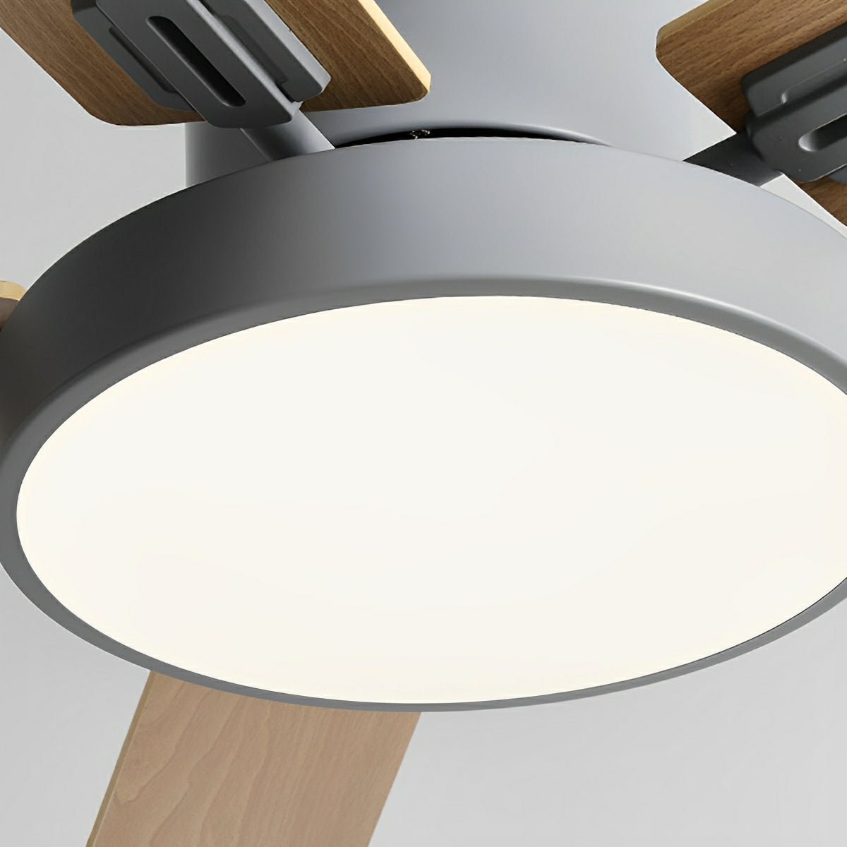 Modern Minimalist Five - leaf Frequency Conversion Ceiling Fan - Flyachilles