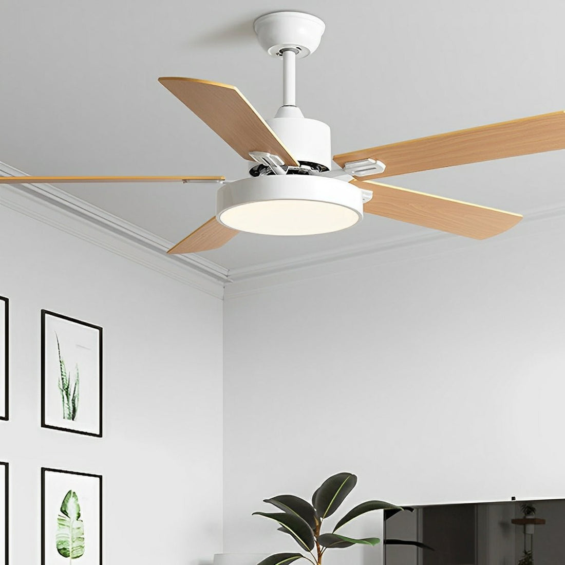 Modern Minimalist Five - leaf Frequency Conversion Ceiling Fan - Flyachilles