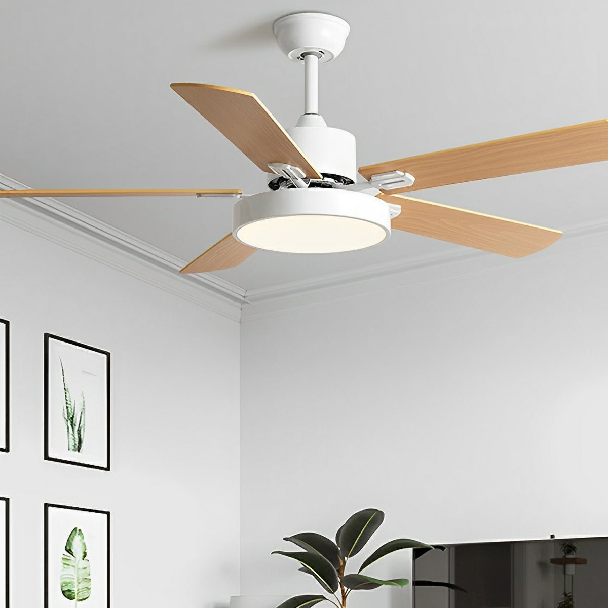 Modern Minimalist Five - leaf Frequency Conversion Ceiling Fan - Flyachilles