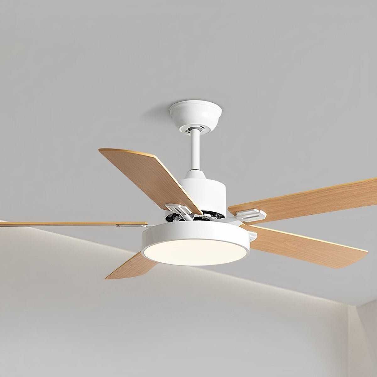 Modern Minimalist Five - leaf Frequency Conversion Ceiling Fan - Flyachilles