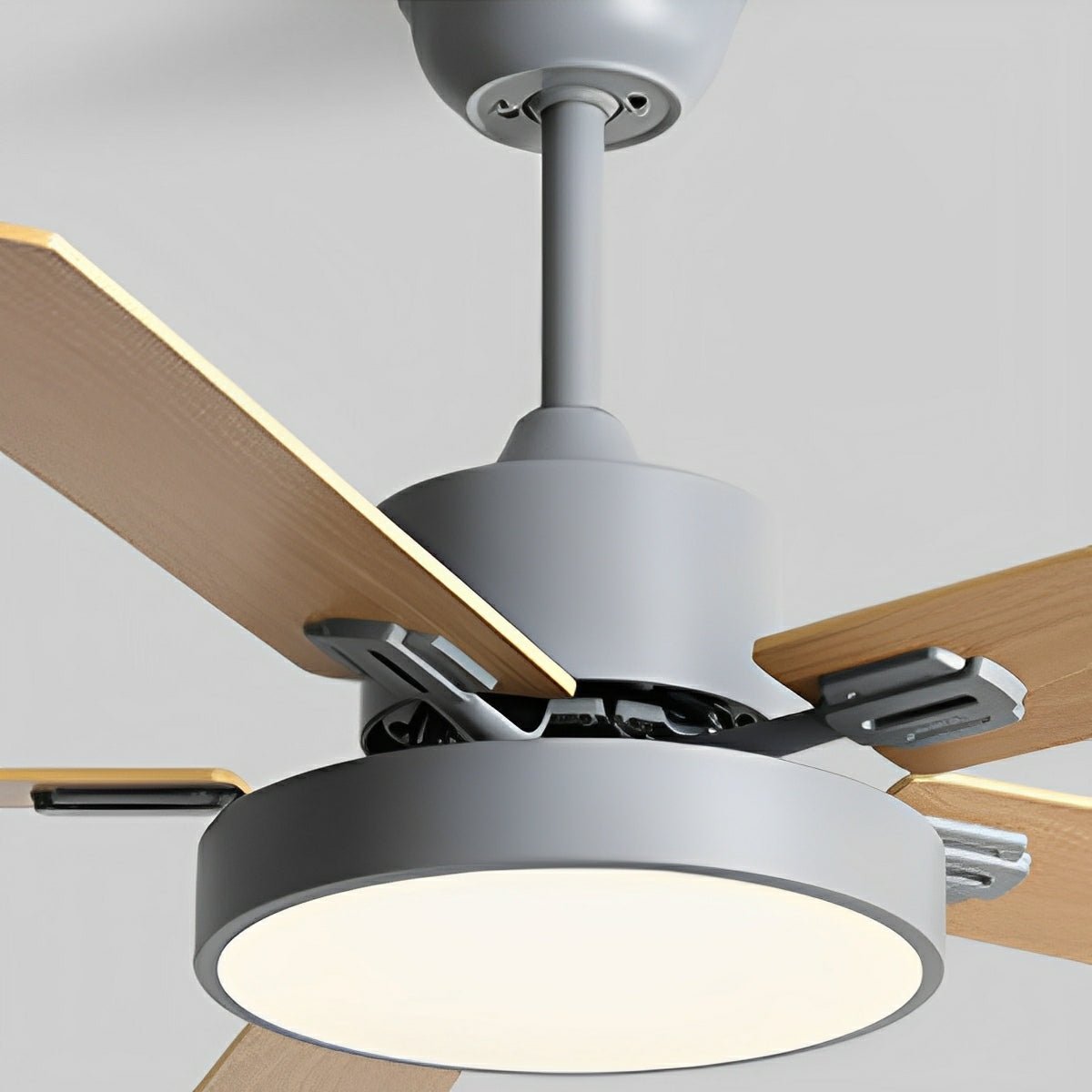 Modern Minimalist Five - leaf Frequency Conversion Ceiling Fan - Flyachilles