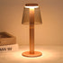 Modern Mushroom LED Dimming Touch Table Lamp - Flyachilles