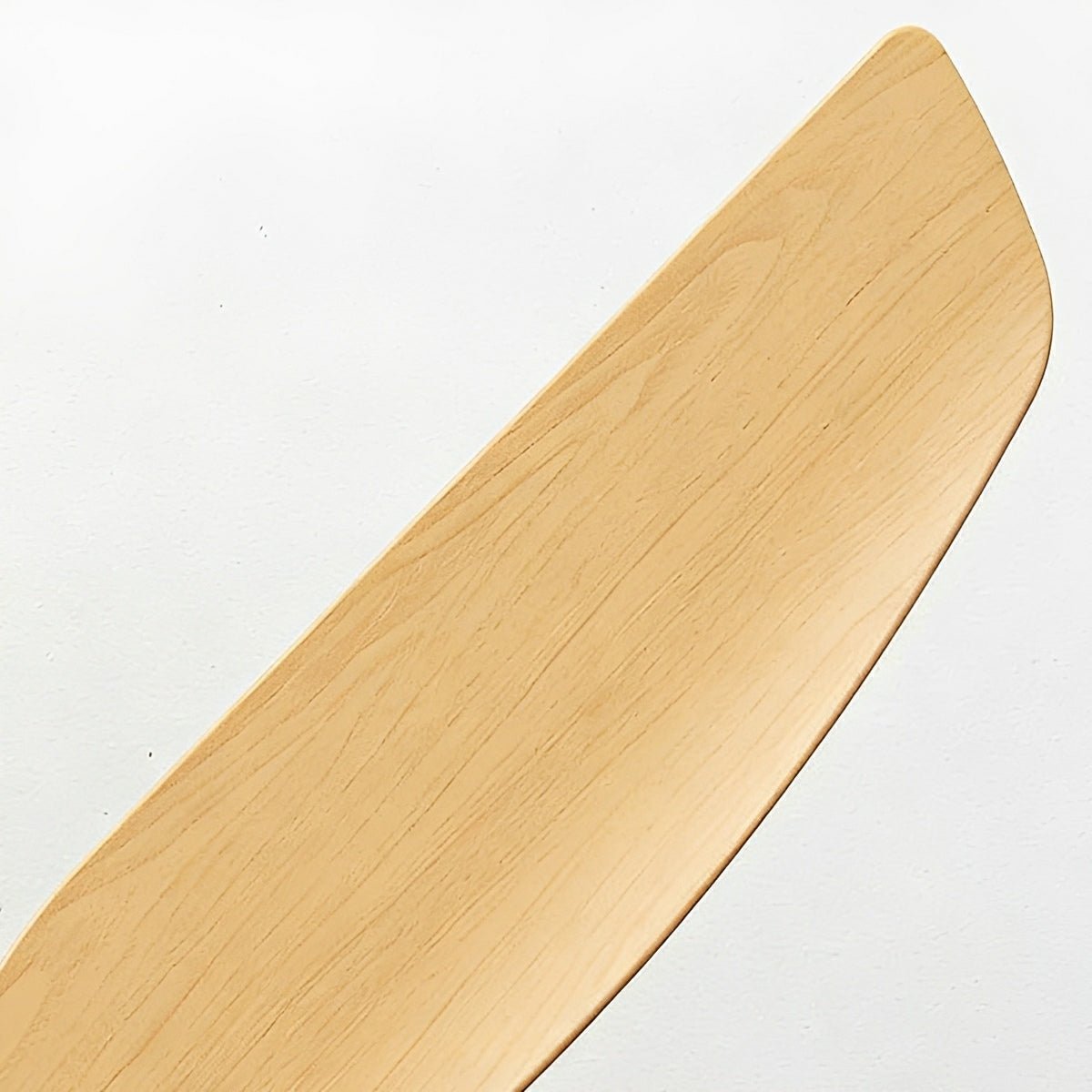 Modern Scandinavian Ceiling Fan with Full - Spectrum LED Light - Flyachilles