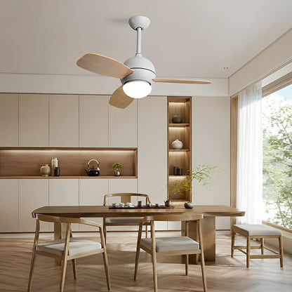Nordic Minimalist LED Ceiling Paddle Fan DC Motor Fan Light - Flyachilles