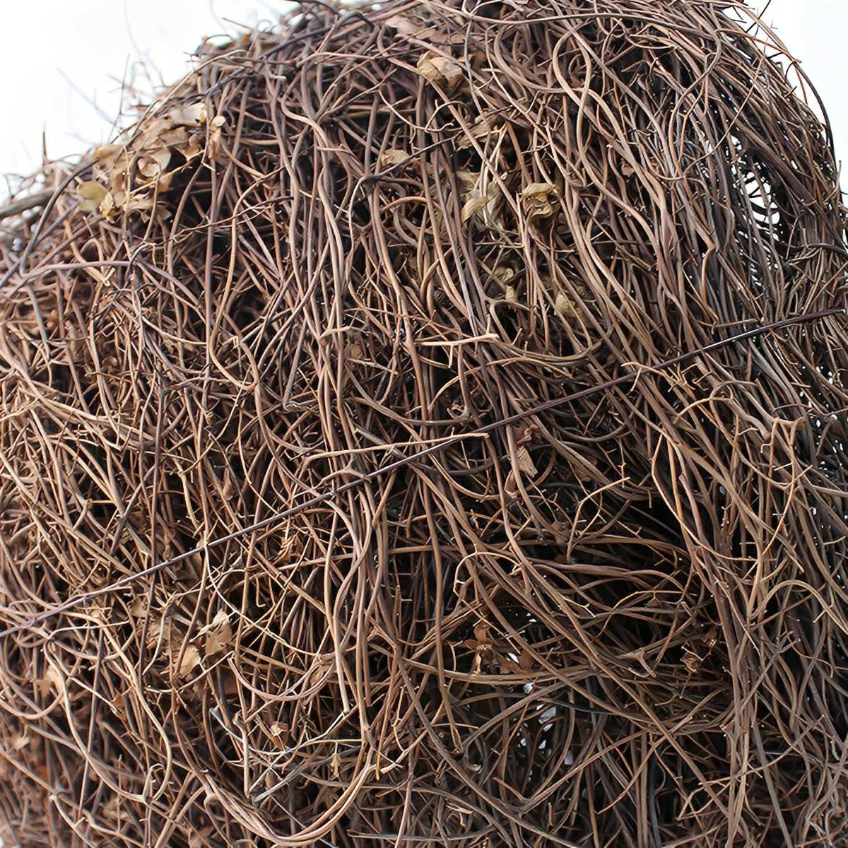 Outdoor Waterproof Bird&