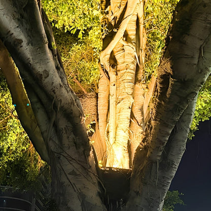 Outdoor Waterproof Bird&