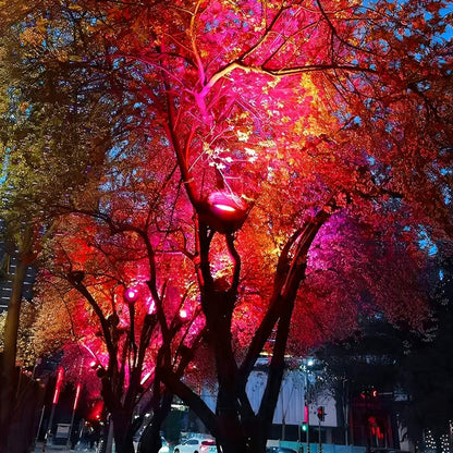 Outdoor Waterproof Bird&