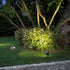 Outdoor Waterproof Round COB Spot Lights Trees Lights - Flyachilles