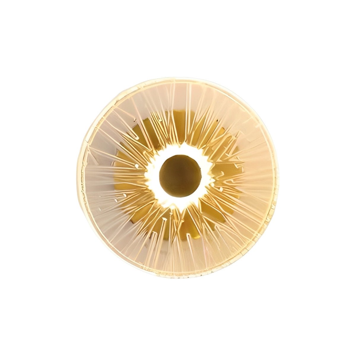 Petals Round Glass Luxury LED Personality Post - Modern Wall Sconce - Flyachilles