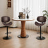 Set of 2 Adjustable Swivel Bar Stools with Backrest & Footrest - Flyachilles
