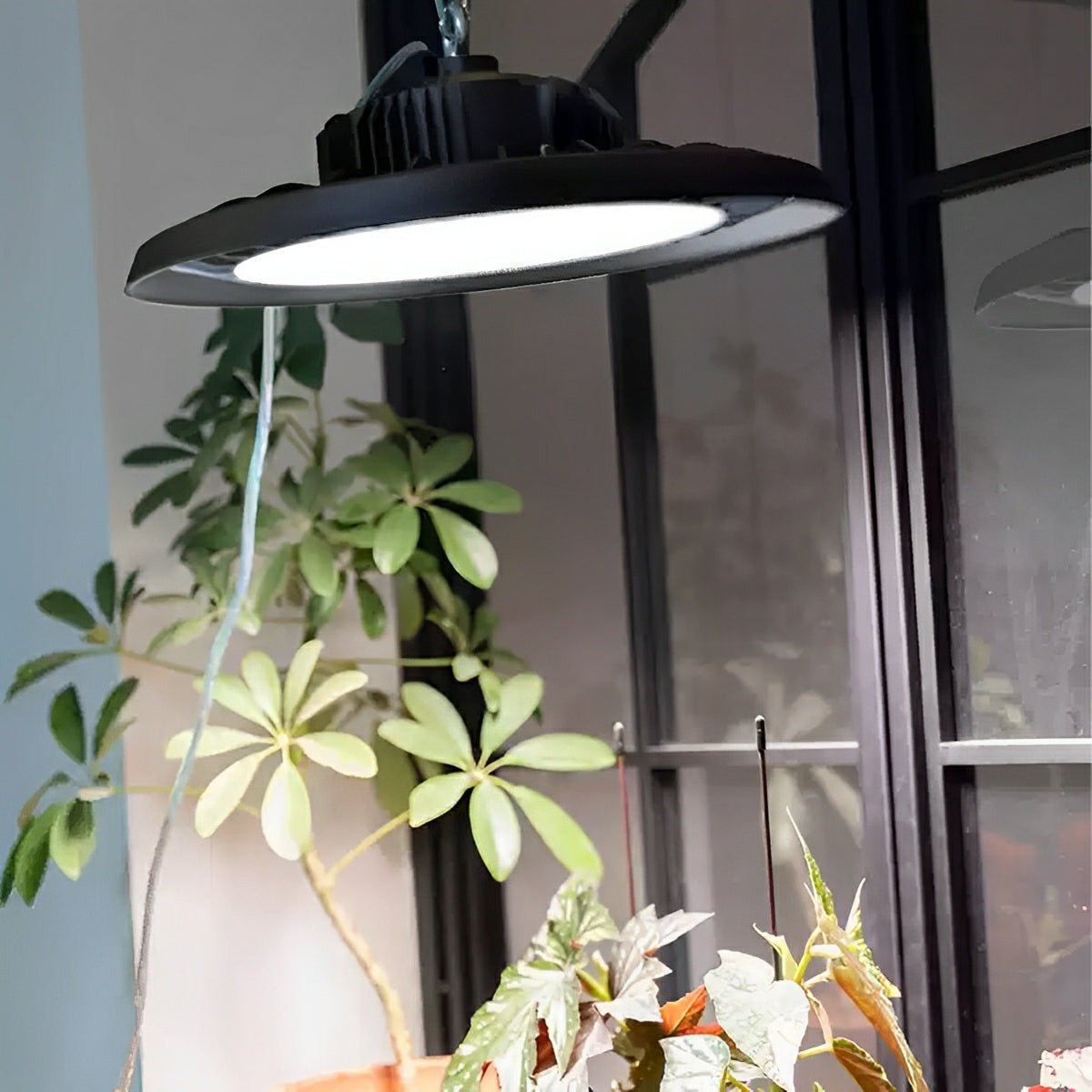 UFO Dish Greenhouse Garage Outdoor Waterproof LED Floodlight - Flyachilles