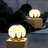 Waterproof Solar Flower Outdoor Post Lights - Flyachilles